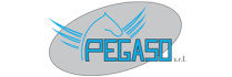 Pegaso Vigevano